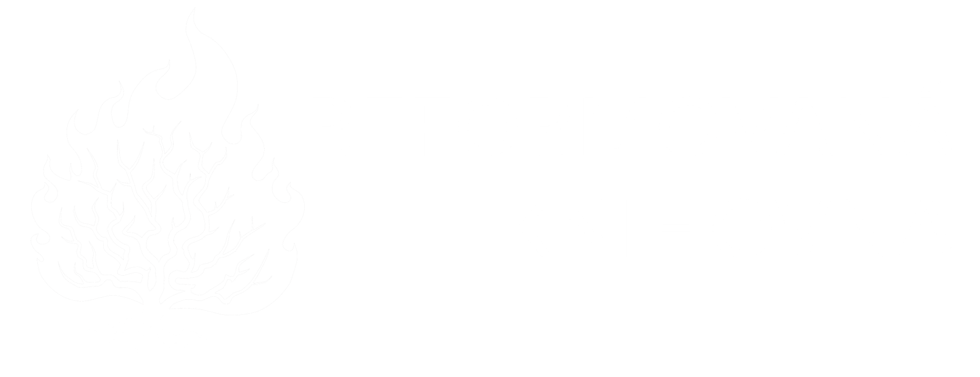 Reformovaná knihovna